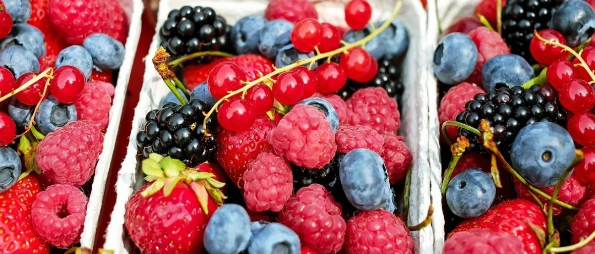 Fruit en een koolhydraatarm dieet: Wat is koolhydraatarm fruit