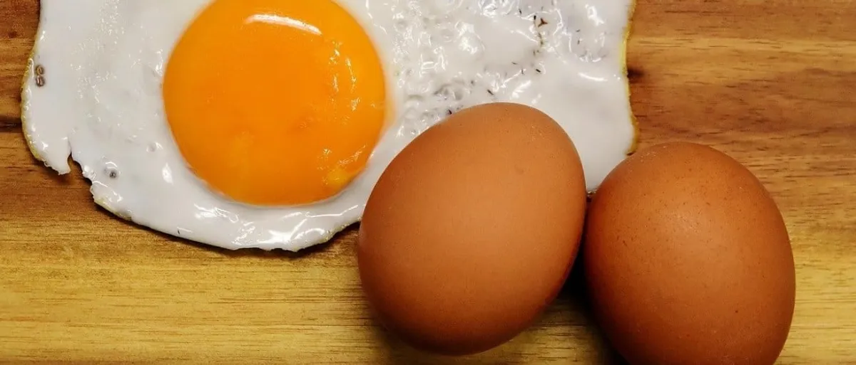 Hoog cholesterol en een koolhydraatarm dieet