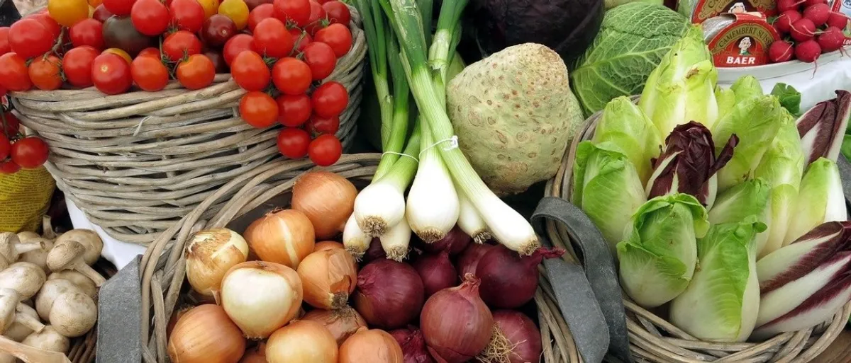 Alles over de combinatie koolhydraatarm en vegetarisch