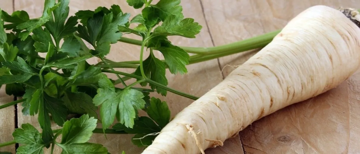 Wortelpeterselie en een koolhydraatarm dieet + recepten