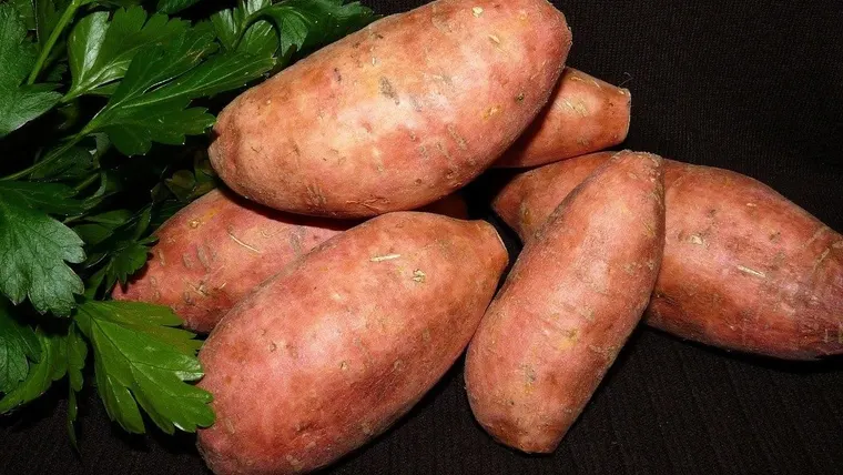 zoete aardappel en koolhydraatarm dieet